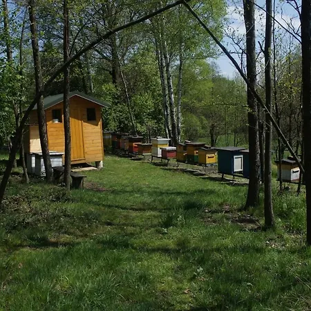 Pszczela Oaza Camping