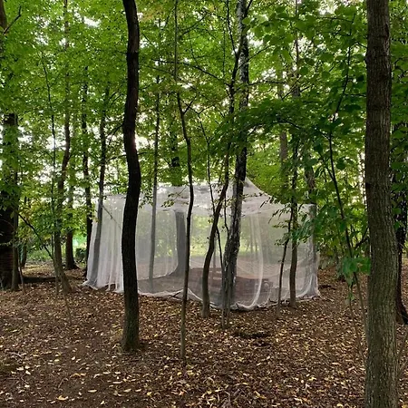 Pszczela Oaza Camping Bulowice
