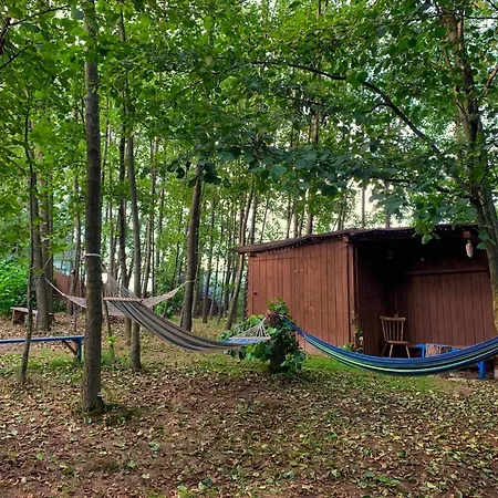 Camping Pszczela Oaza Bulowice